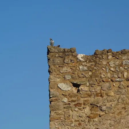 Sa Mendua E Sa Pruna Casa Al Mare Iglesias